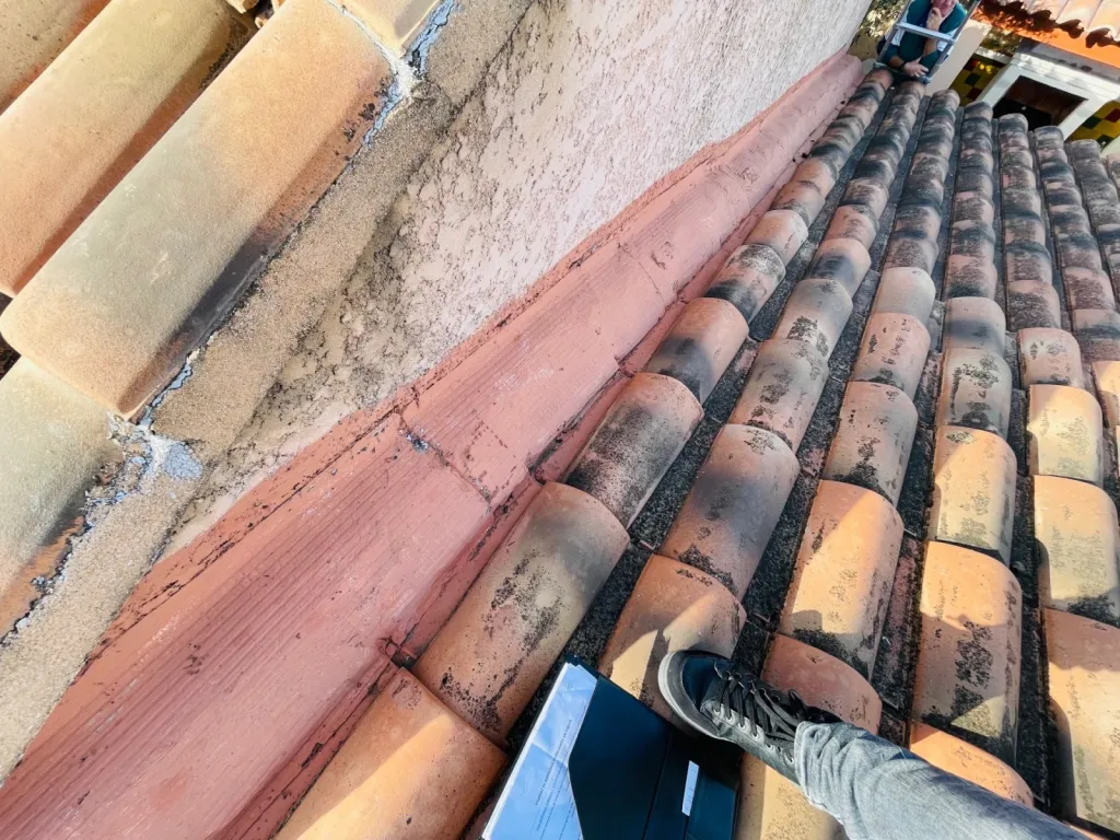 Solin sur Bouc Bel Air avant intervention