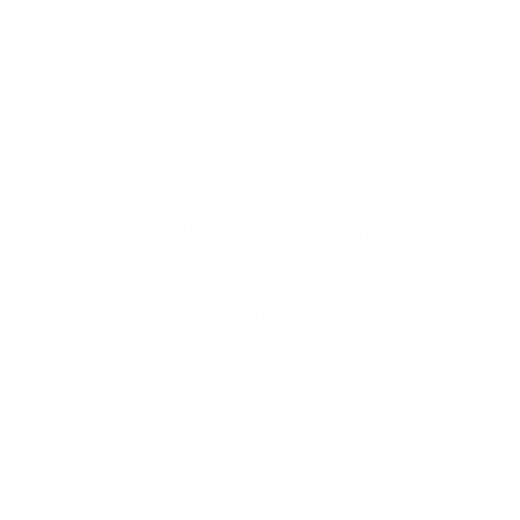 Paddle