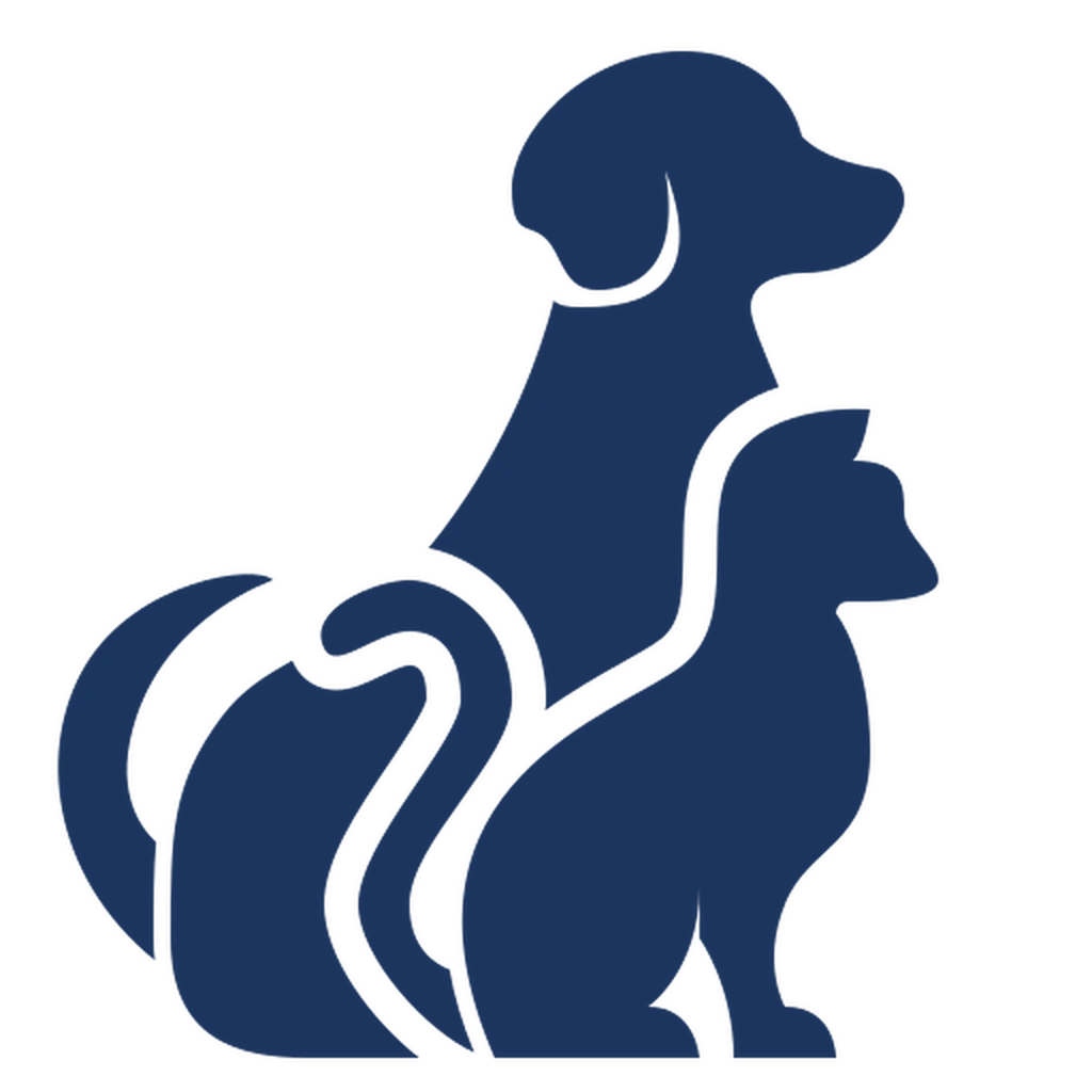 Consultations vétérinaires pour chiens et chats à Marseille Joliette pour un suivi médical attentif et personnalisé par des spécialistes