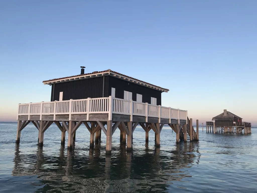 balade ile aux oiseaux et cabane tchanques en bateau privé