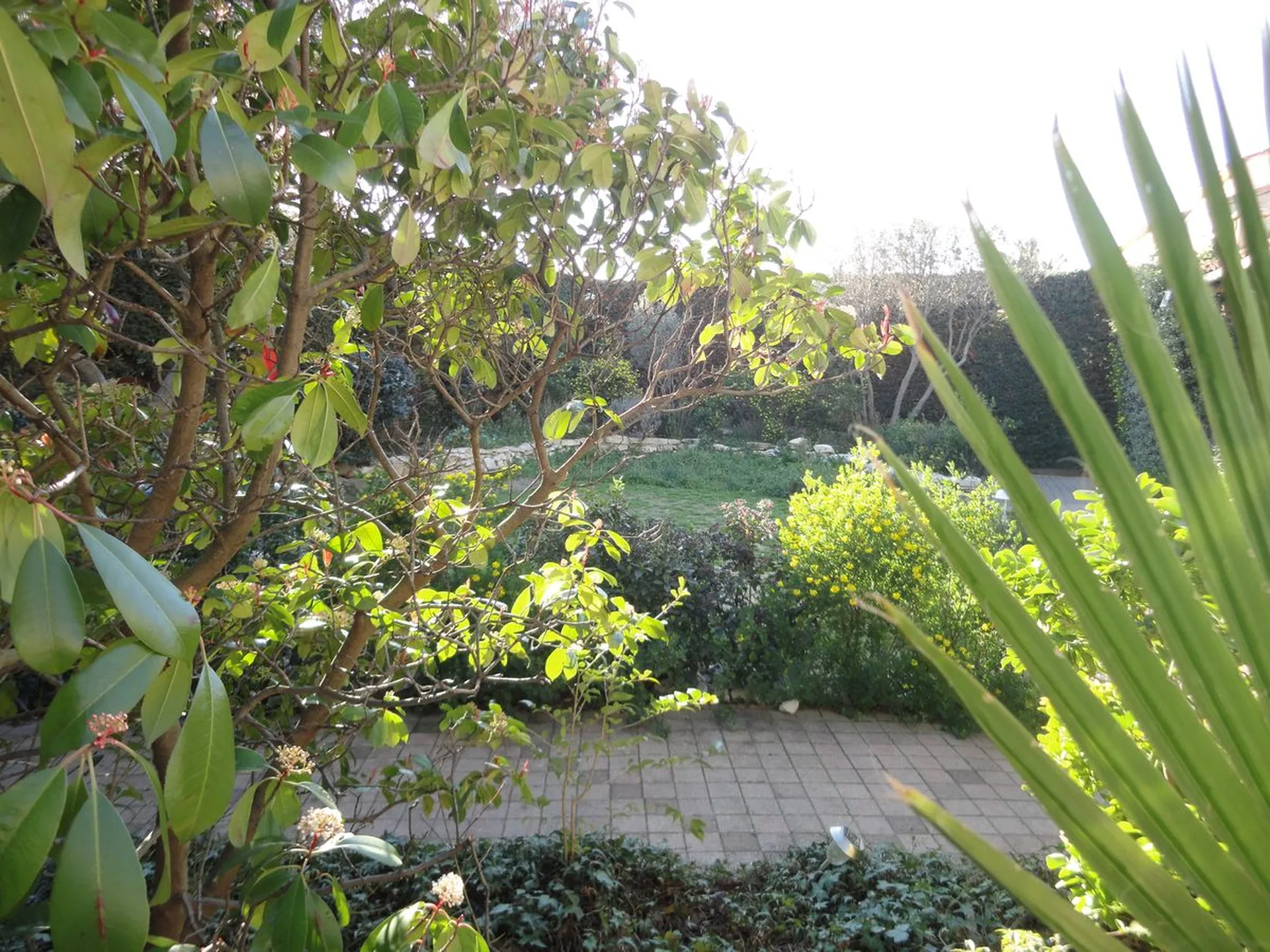 Agence immobilière carnoux