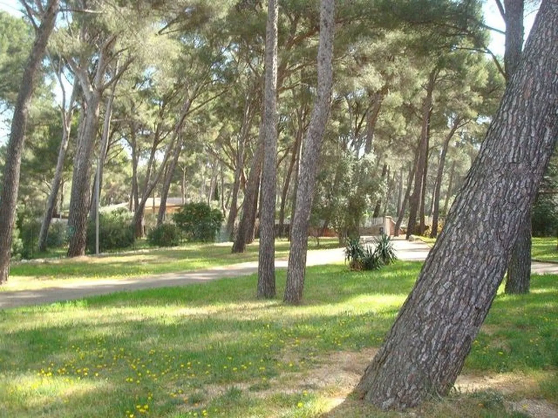 Maison en vente à la ciotat