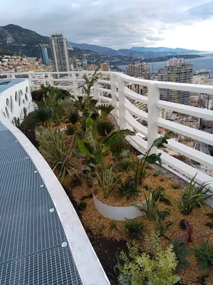 Aménagements Paysagers - Palais HONORIA