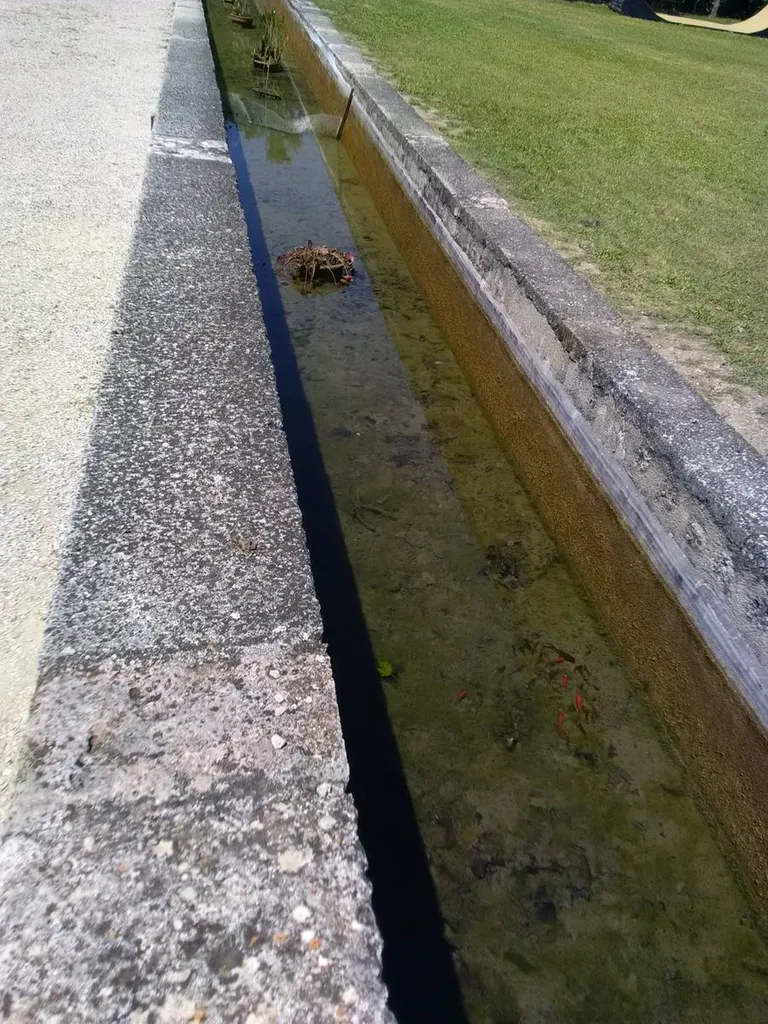 Nettoyage d'un bassin aquatique à La Roque d'Anthéron