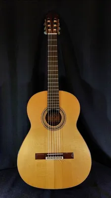 Guitare classique Mitsuru Tamura 3000 à Sète chez Côté Guitare 