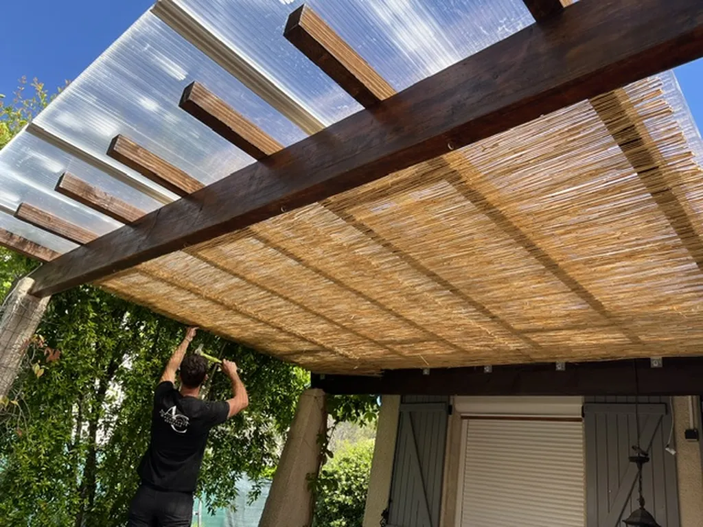 pergola canisse