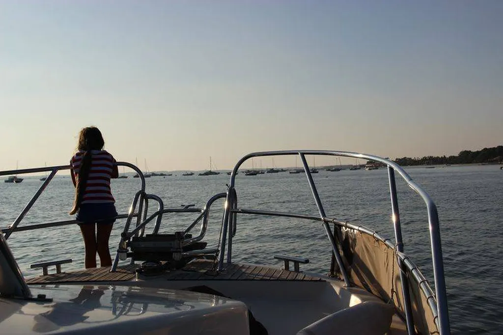 Bateau-taxi et Balade en bateau pendant les week-ends de octobre et novembre 2022 : Destination le bassin d'Arcachon !