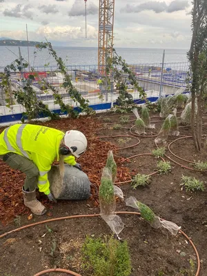 Aménagement d'espace vert sur toiture à Monaco