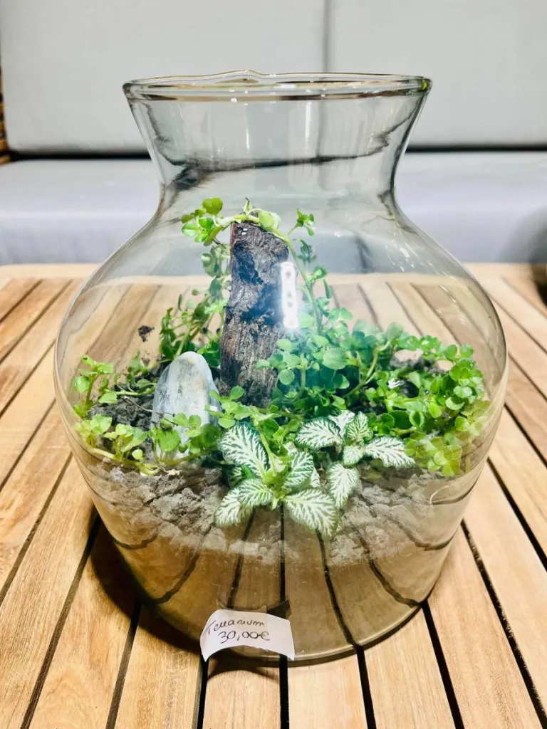 TERRARIUMS