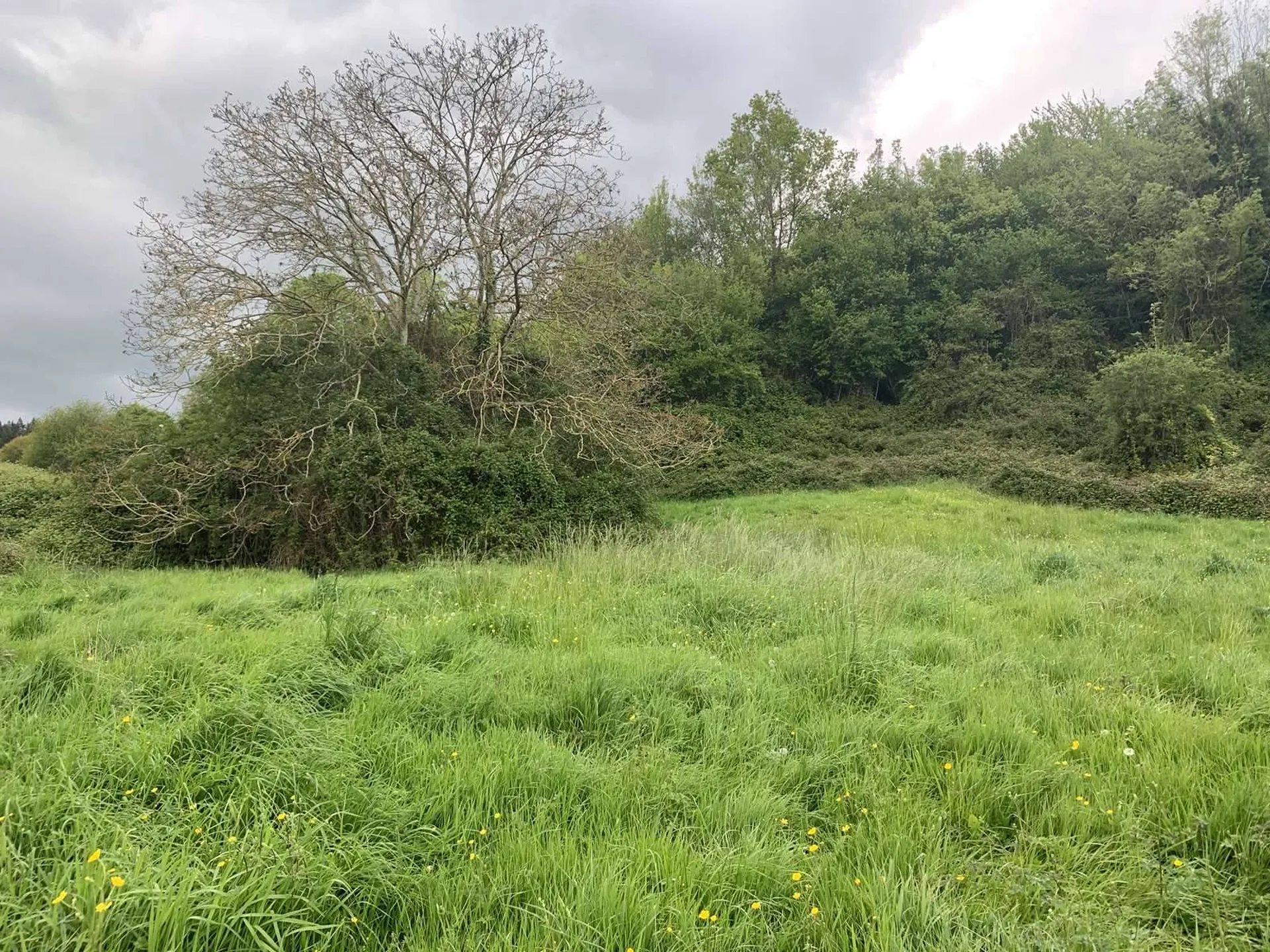 A vendre TERRAIN AGRICOLE DE 6HA 37A, dans la région de VIMOUTIERS 61120