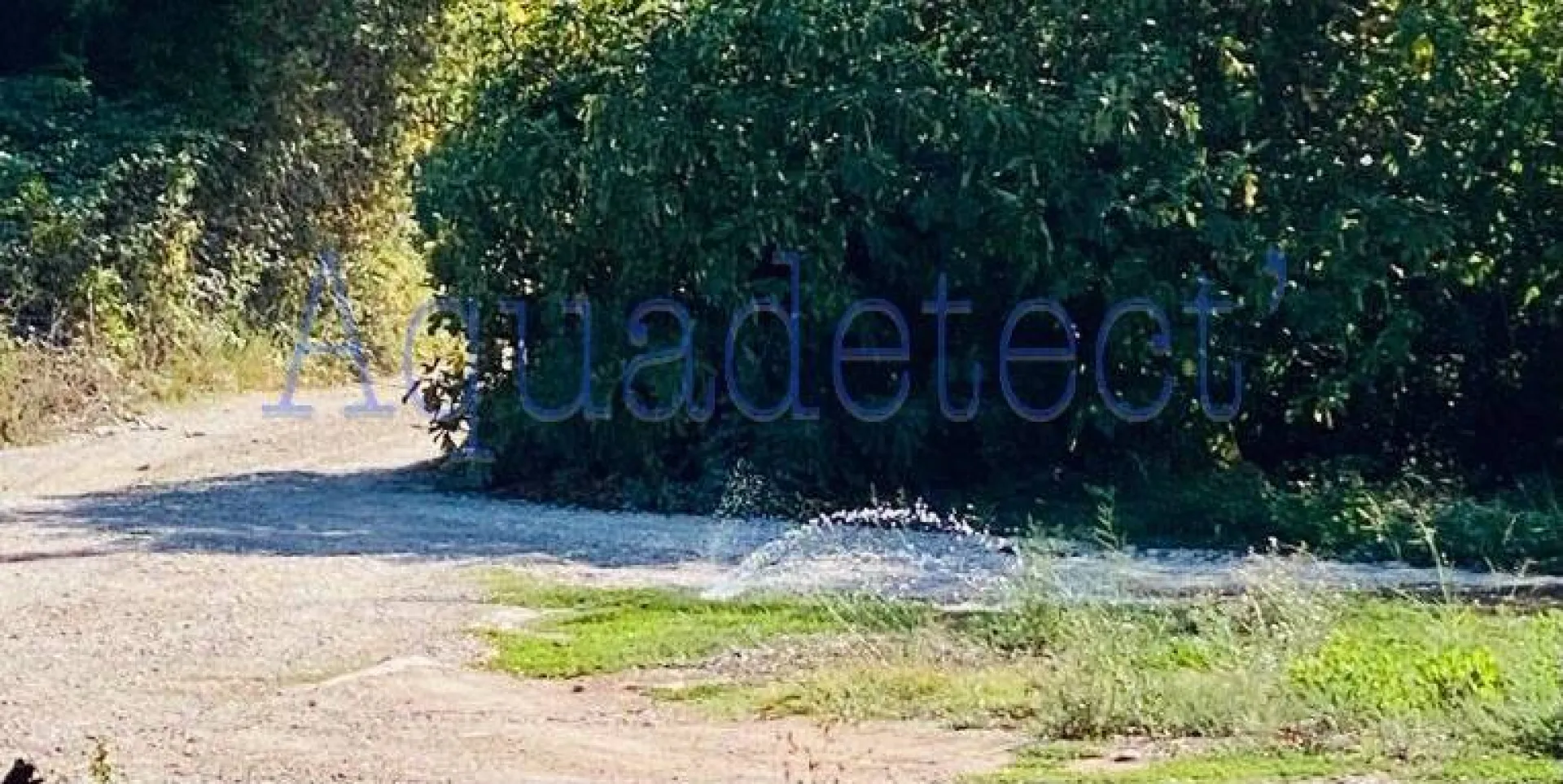 Recherche de fuite sur réseau d'alimentation dans un hameau à  Sollies Pont dans le Var