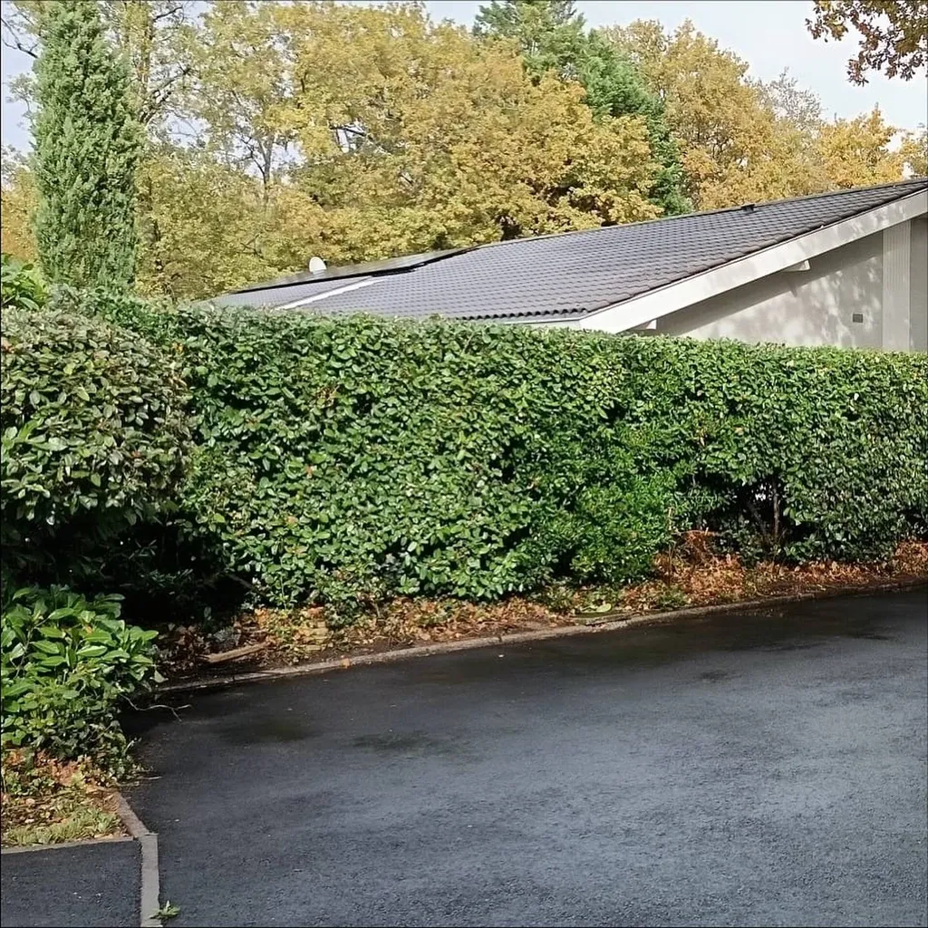 Sud Ouest Environnement s'occupe de l'entretien de votre jardin !