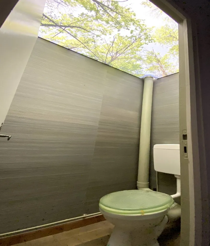 WC : plafond lumineux imprimé à Toulouse - Plafonds Tendus Occitans Rieumes