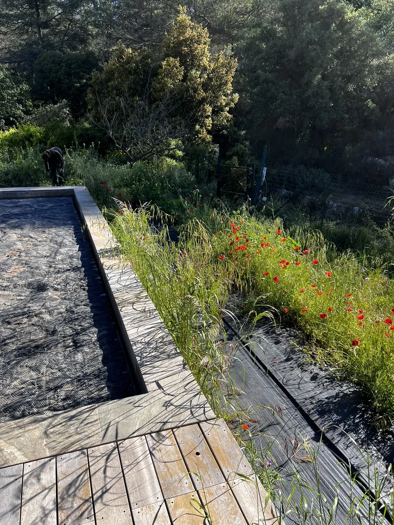 Aménagement paysager complet avec arrosage automatique, opus incertum et massifs méditerranéens au Beausset