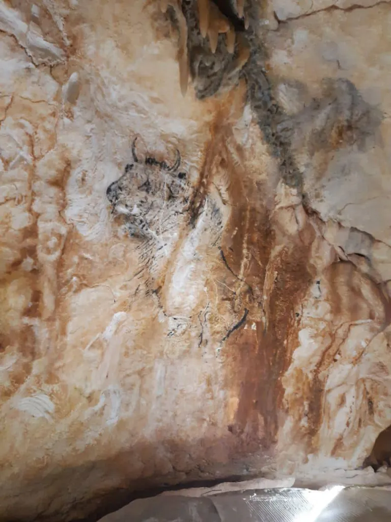 Réplique de la grotte Cosquer  réalisée avec de la chaux et les pigments TERRE DU MONDE