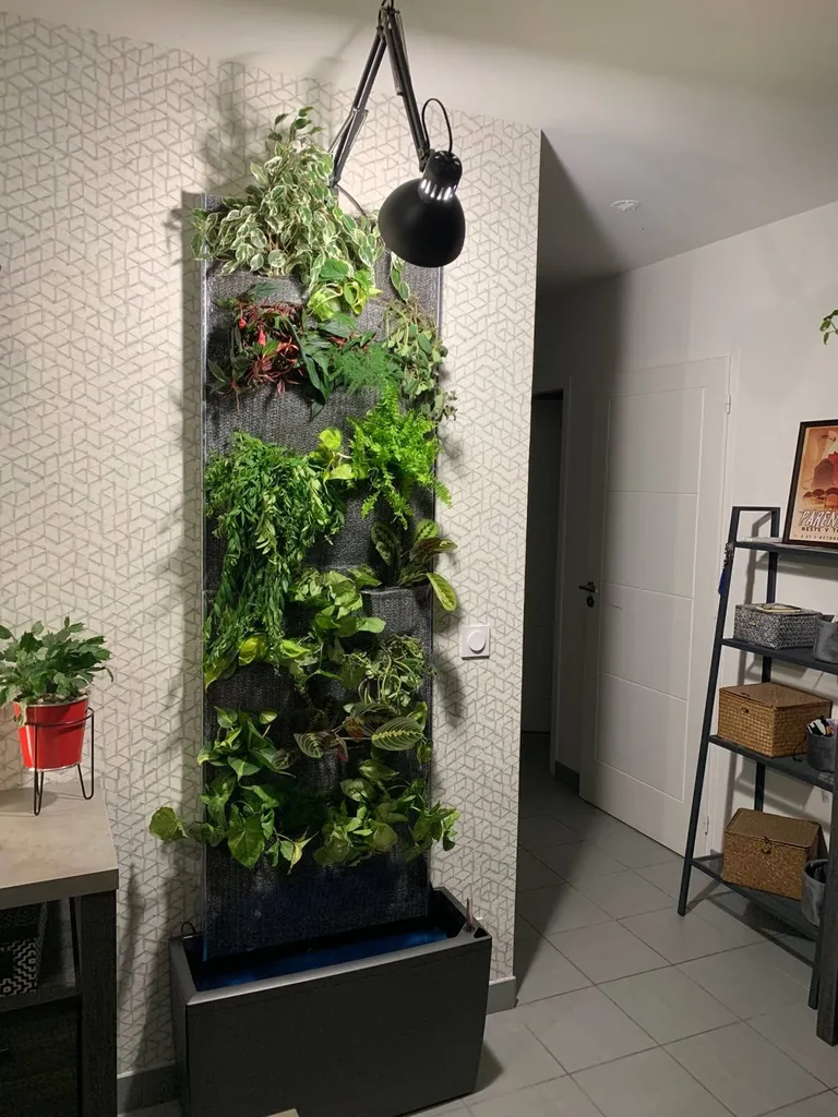 Créer un mur végétal d’intérieur à proximité de Sanguinet