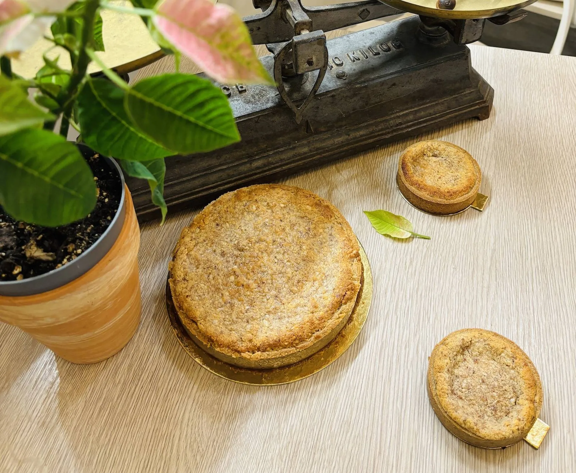 La Chronique de la Semaine n°13 - La Galette des Rois