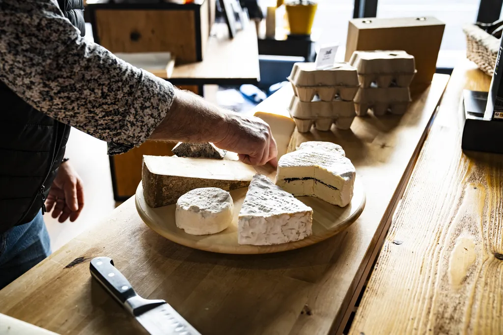 Atelier vin et fromages à domicile à Pessac : régalez vos invités avec des accords parfaits expliqués en direct par notre professionnel