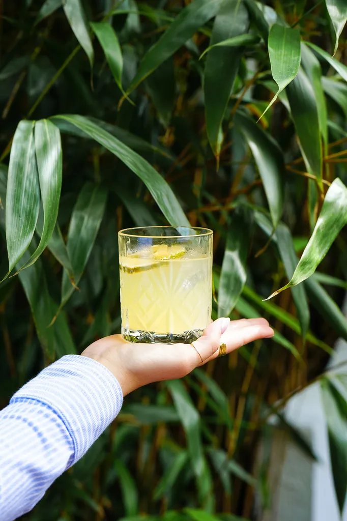 Nullam facilisis massa primis praesent ligula gravida