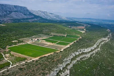 vente de vin de qualité Aix en Provence Domaine des Masques