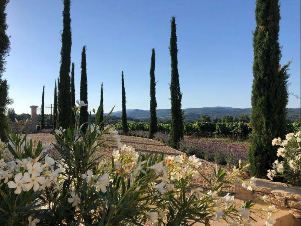 Une renaissance pour ce vieux mas endormi.