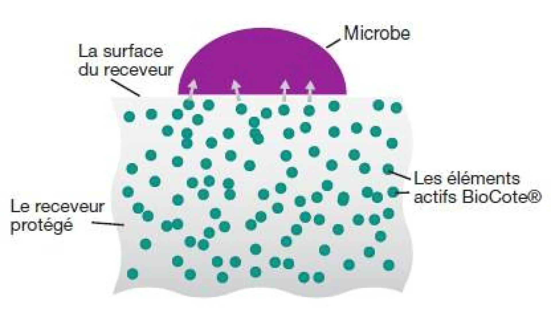Remplacement baignoire par douche sécurisée pour sénior et pmr en moins d'une journée douche modul'eau
