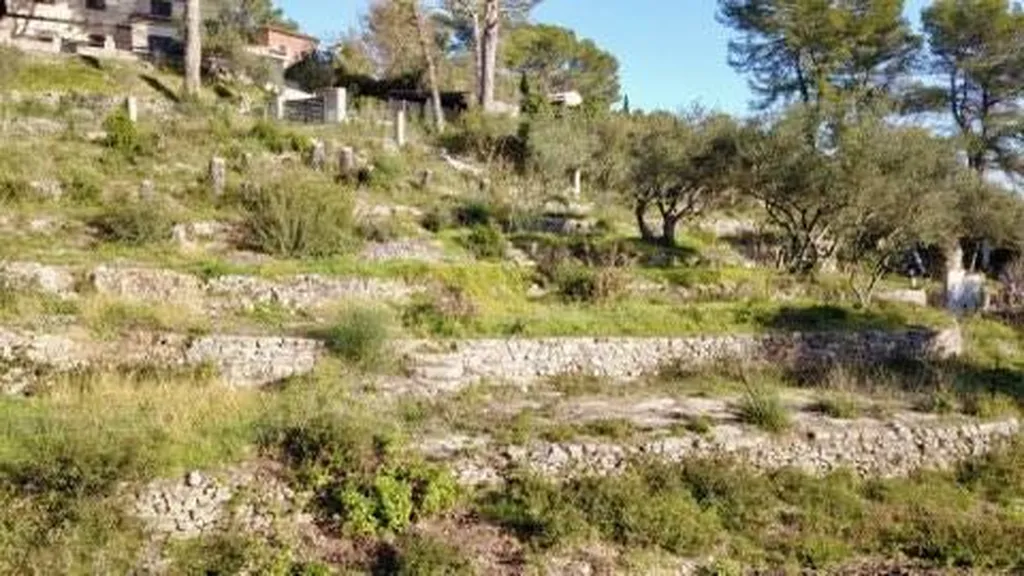 Terrain en restanques sur CUERS