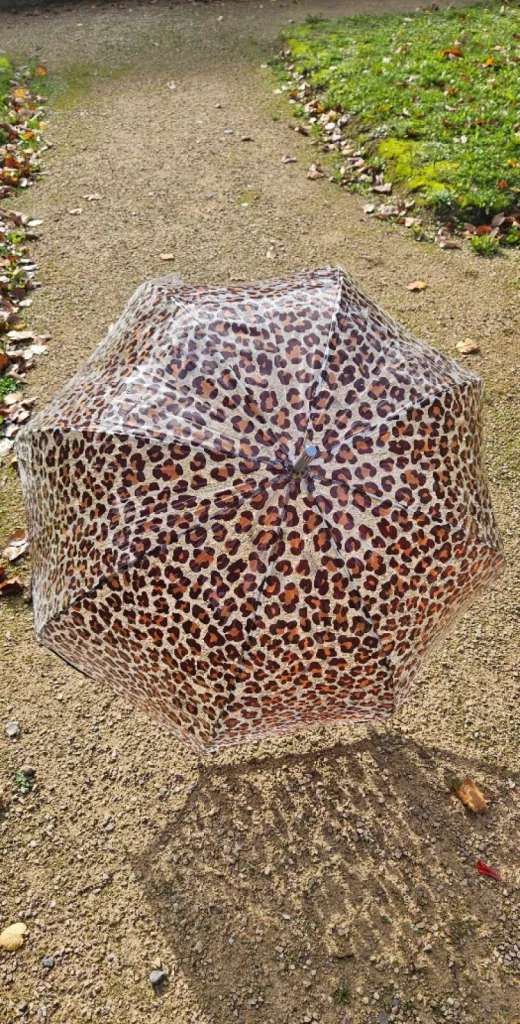 Parapluie cloche Isotoner transparent PVC/léopard beige disponible chez Evasion Eu