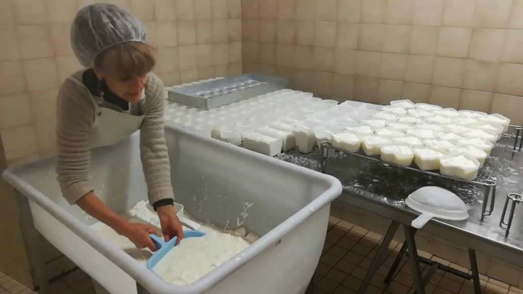 Productrice de fromages de chèvre bio Ouroux eco ferme du carruge