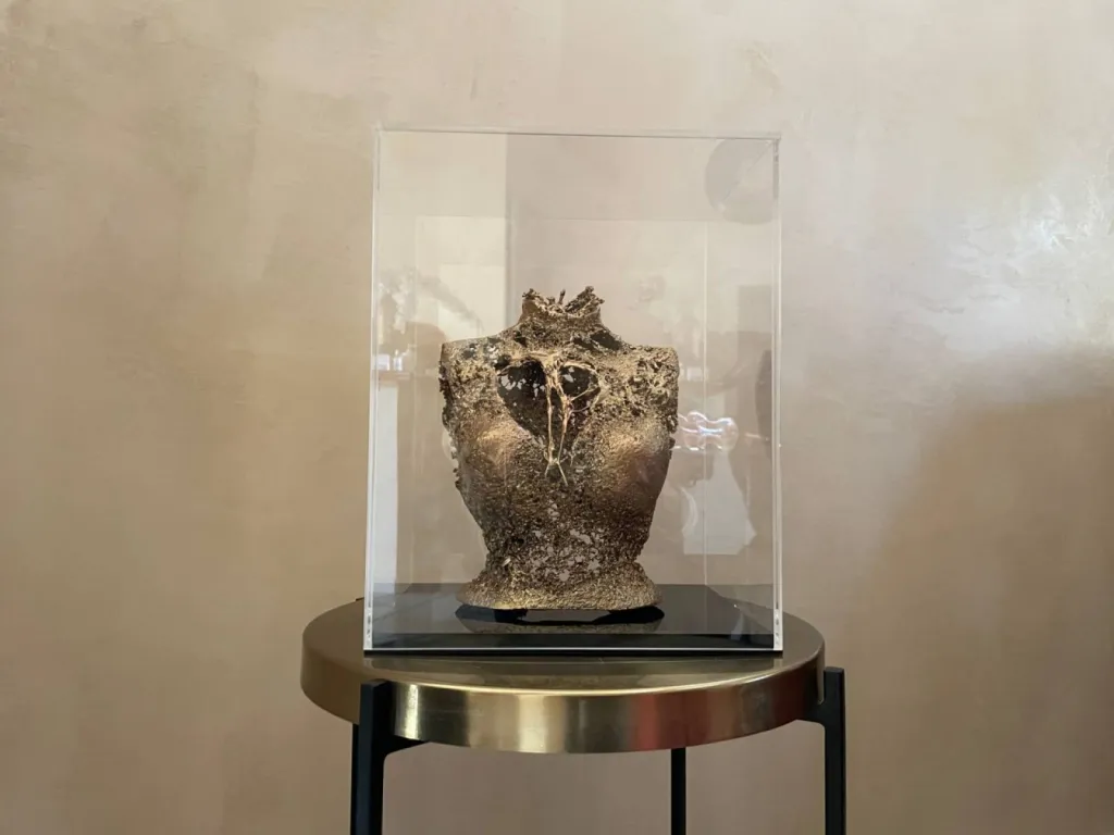 MUR EN TADELAKT TERRE DU MONDE DANS VILLA DANS LE VAR