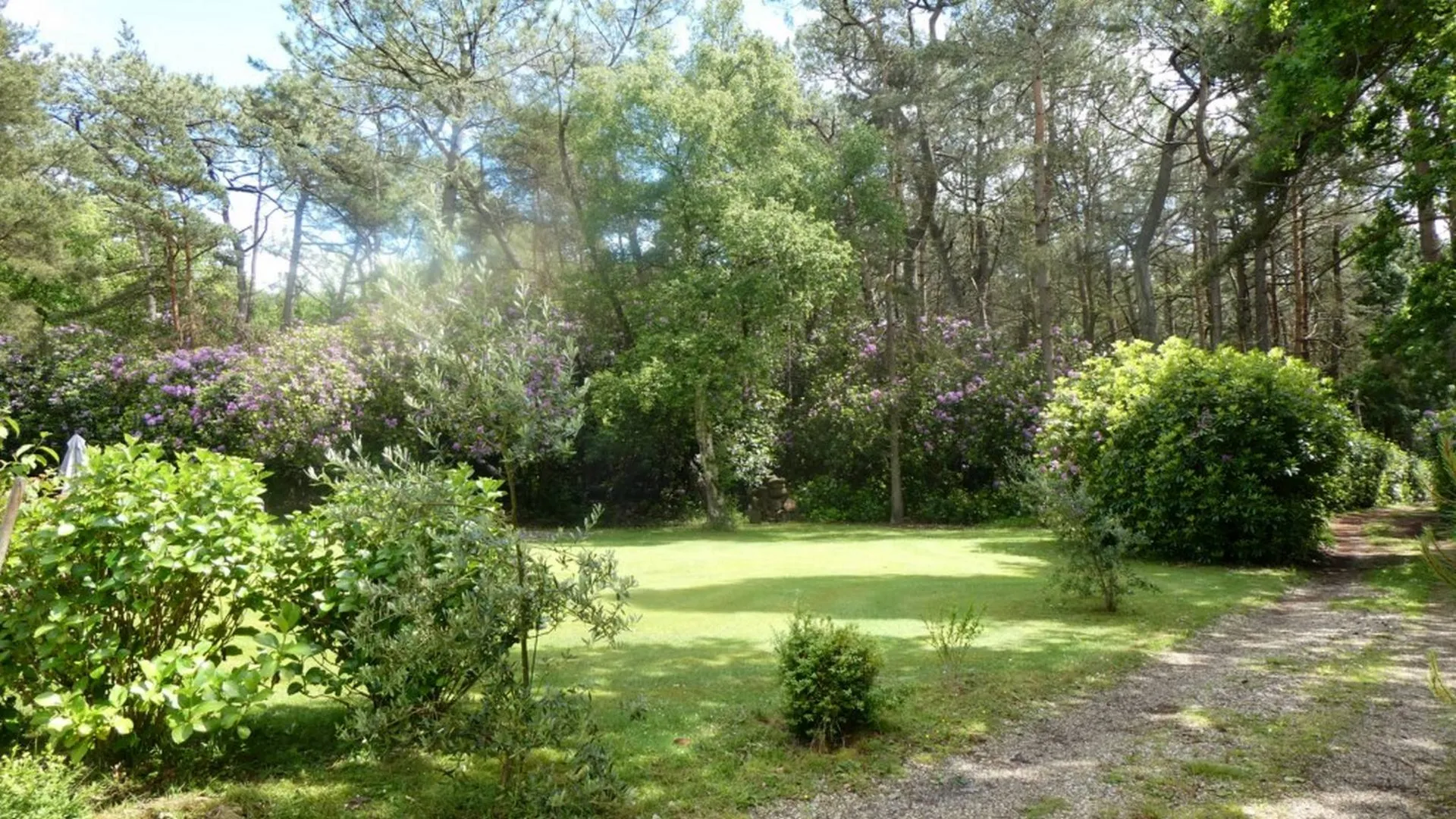 recherche maison a vendre varengeville