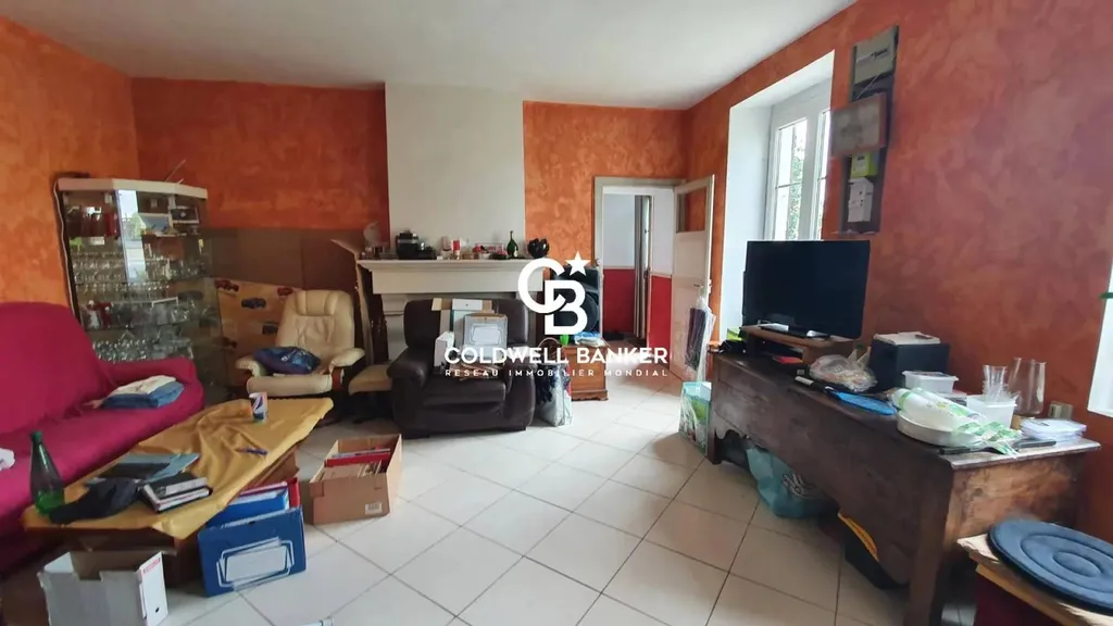 séjour avec cheminée