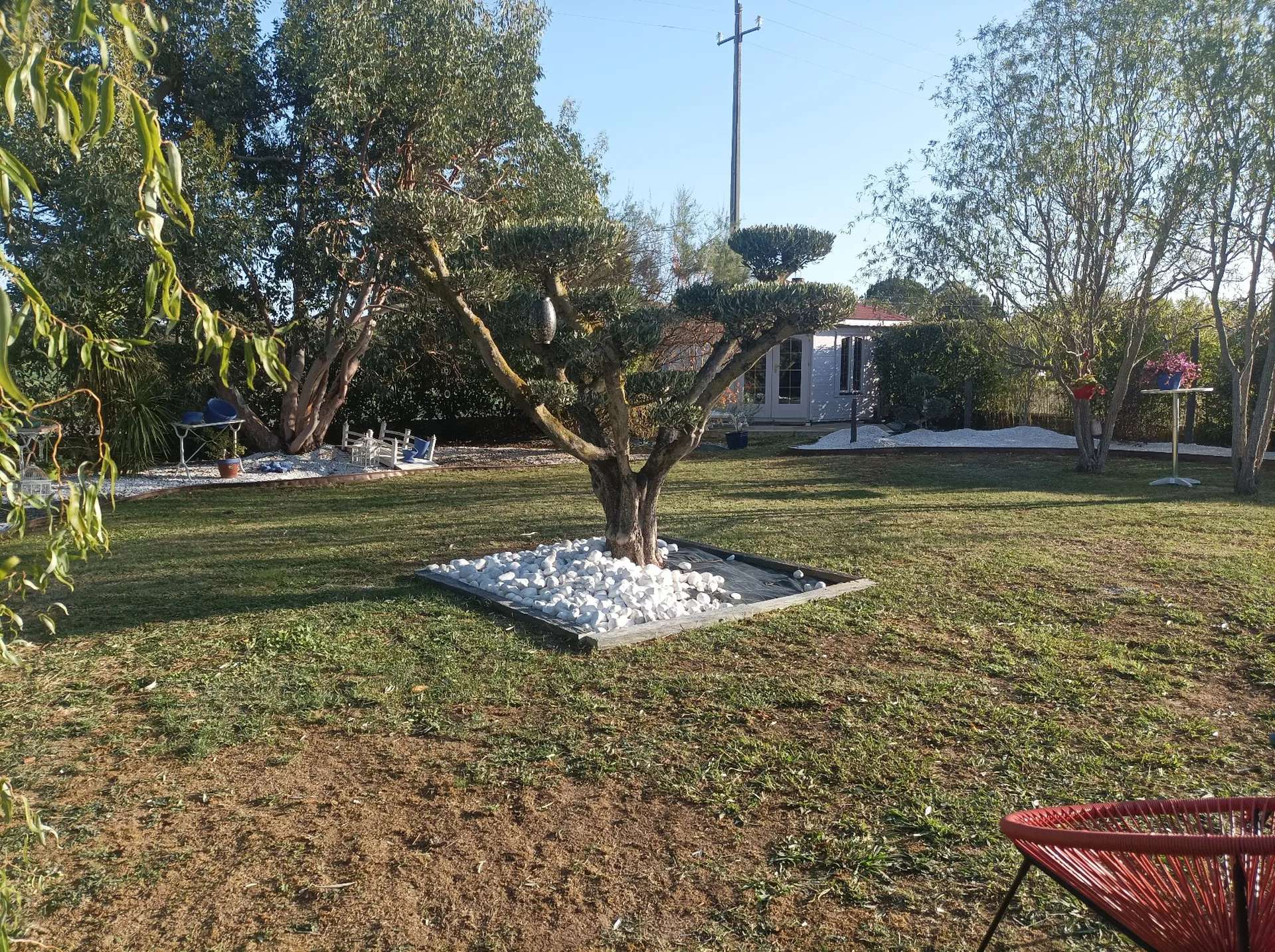 A Labarthe sur Lèze près de Toulouse, Les paysagistes de MAT'TAILLE ont planté un olivier nuage tout en sobriété.