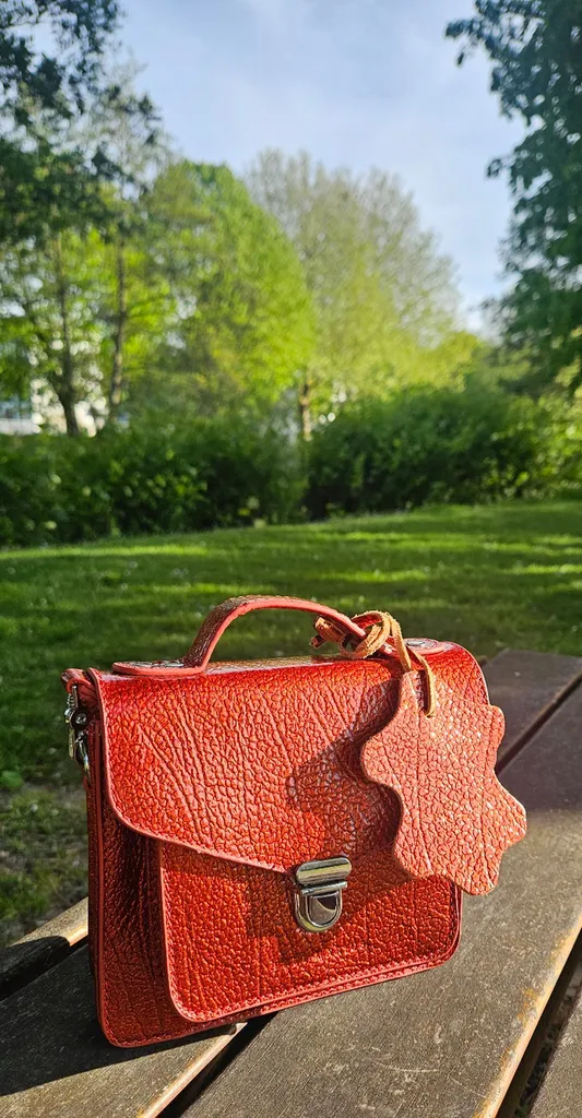 Sac Paul Marius Mademoiselle George XS Star Flamme chez Evasion à Eu