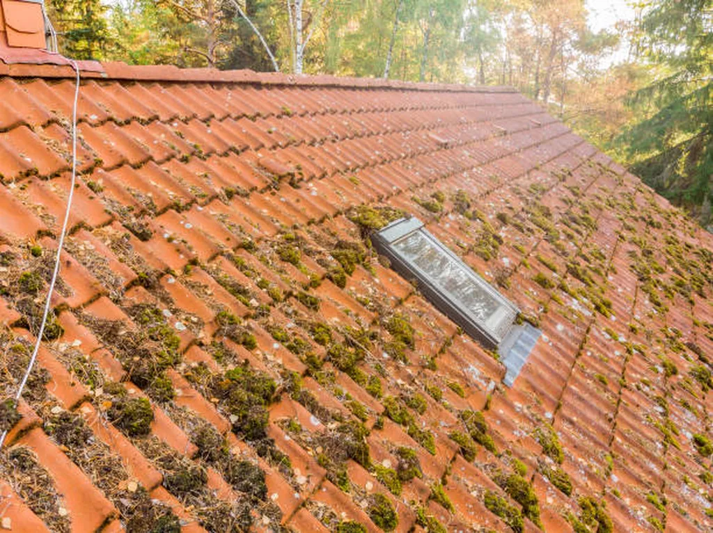 Quelle solution pour nettoyer une toiture difficile d’accès à Bandol ?