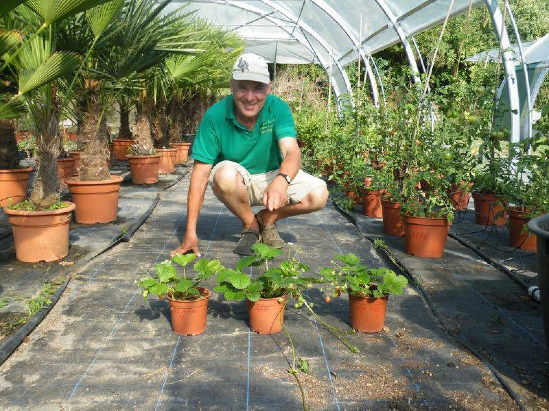 Compost ecodigesteur préconisation d'utilisation