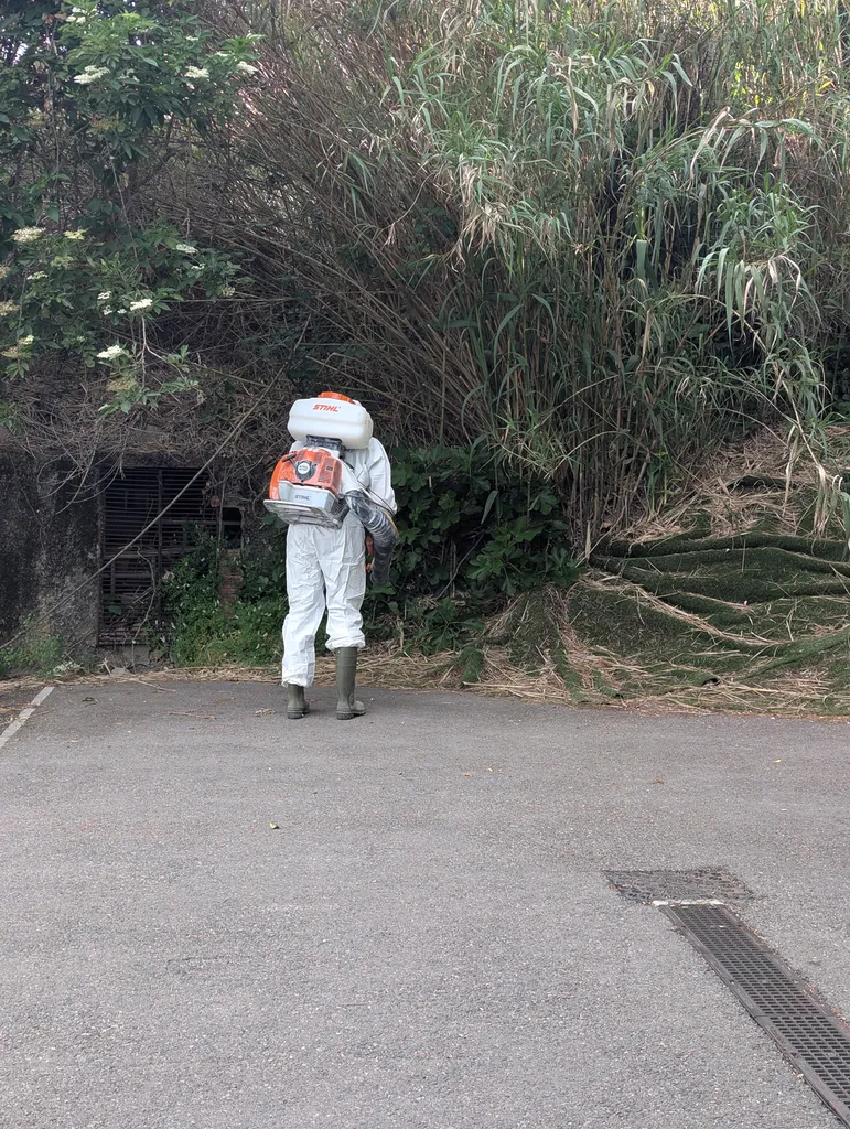 Intervention contre les moustique à rognac