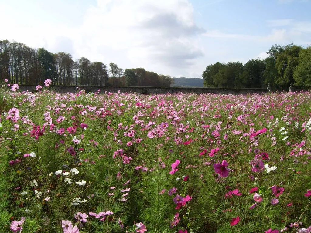 création de jardin aix en provence