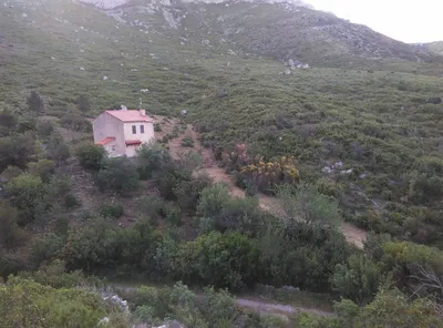 végétation calanque marseille
