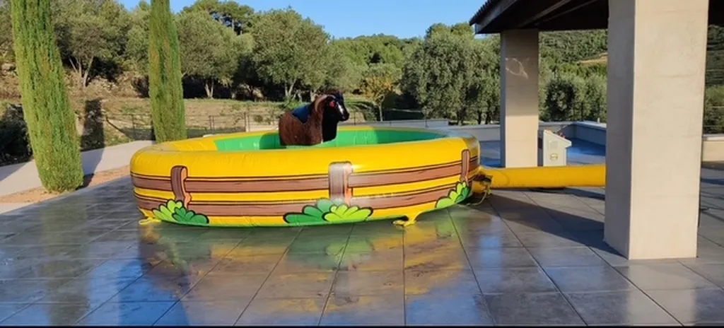 LES GONFLABLES (Classiques)