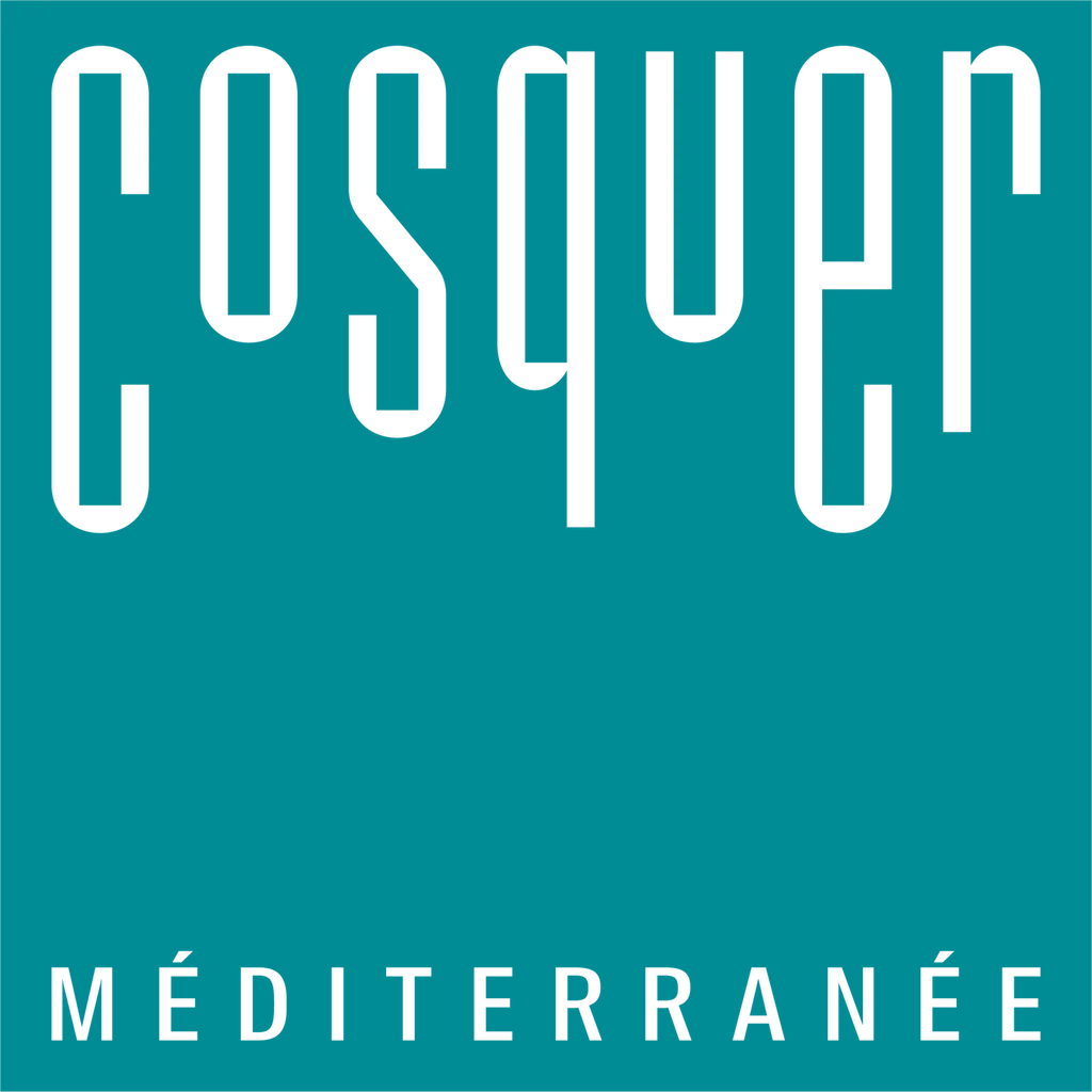 Idée de sortie pour une visite touristique Marseille La Grotte Cosquer