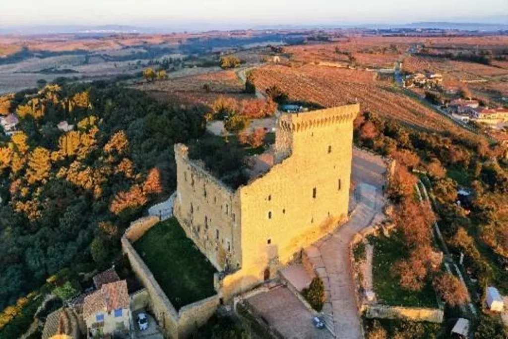 Notre service de Wedding Planner sur-mesure pour l'organisation d'un mariage romantique dans un château à Bordeaux au cœur des vignobles de la Gironde !
