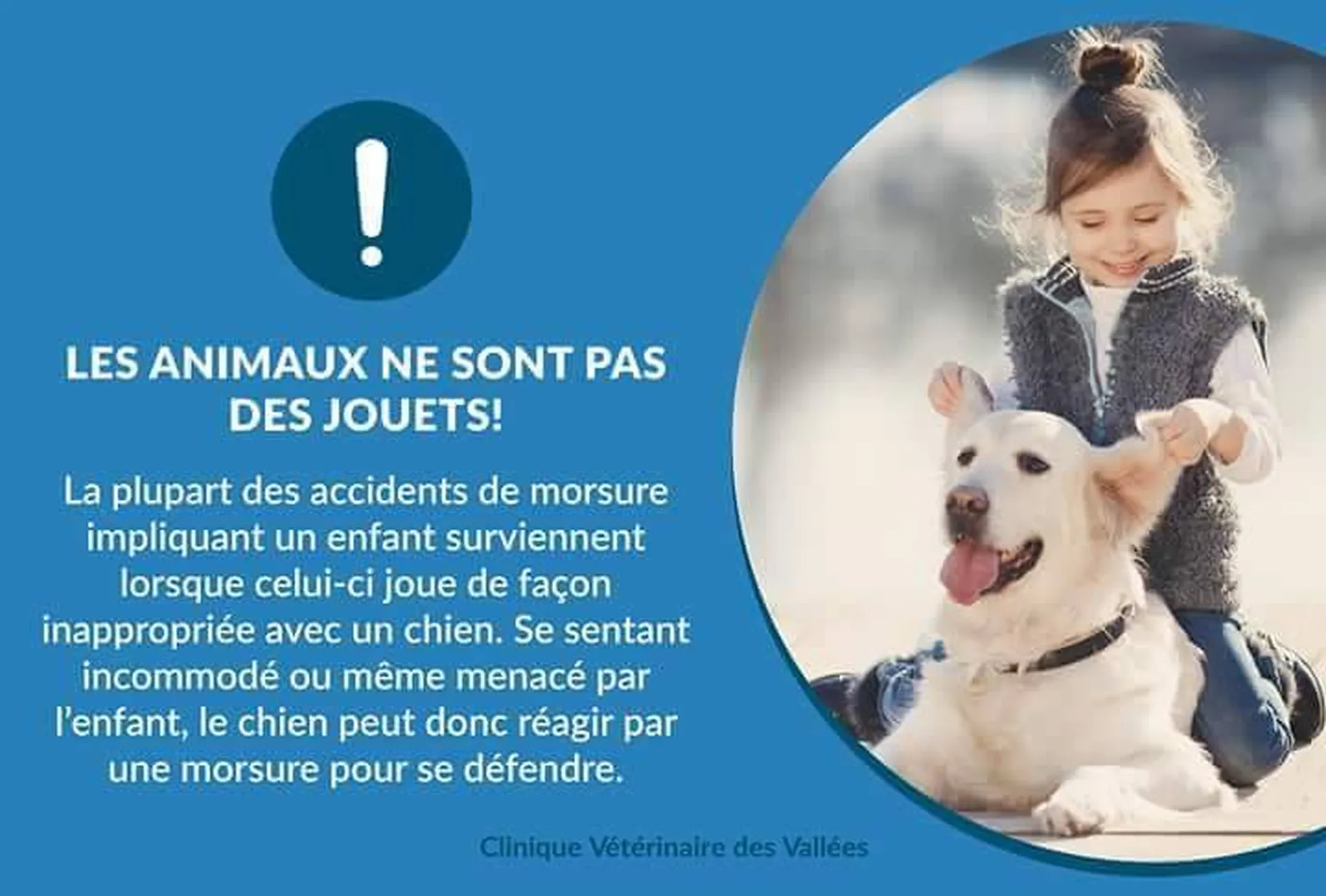 Intervention PECCRAM Prévention Morsure Bordeaux, Bassin d'Arcachon