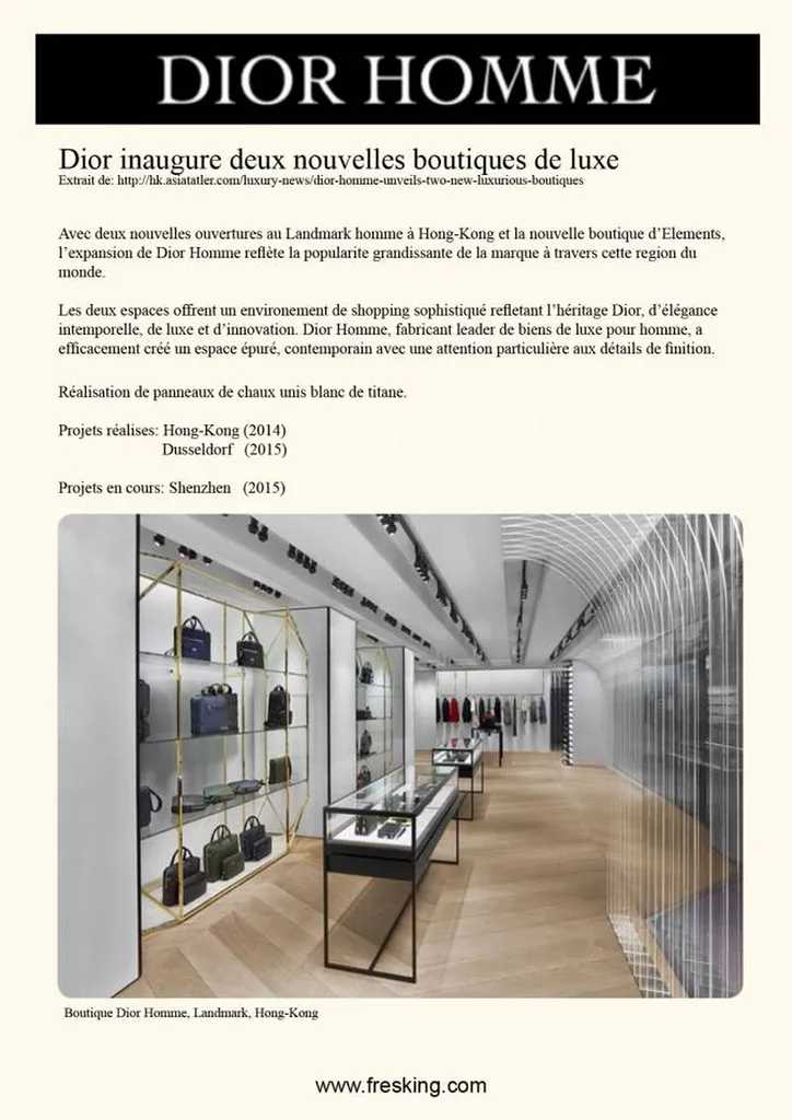 ARTICLE DE PRESSE CHRISTIAN DIOR, chaux TERRE DU MONDE