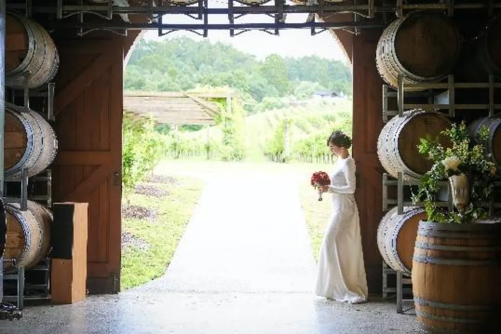 Mariage romantique au cœur des vignobles de la Gironde