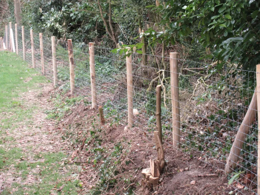 Création d'une clôture de protection de jardins anti-sangliers à Mont Saint Aignan 76