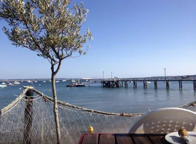 Cabane a huitre cap ferret - Le Chai nous