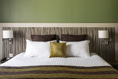 chambre executive forêt