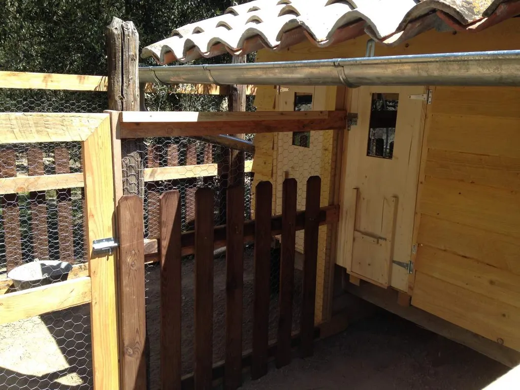 Réalisation d'un poulailler à Salon de Provence (13300)