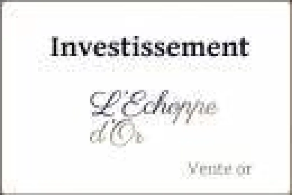 Vente de lingots et lingotins placement et investissement Marseille 13